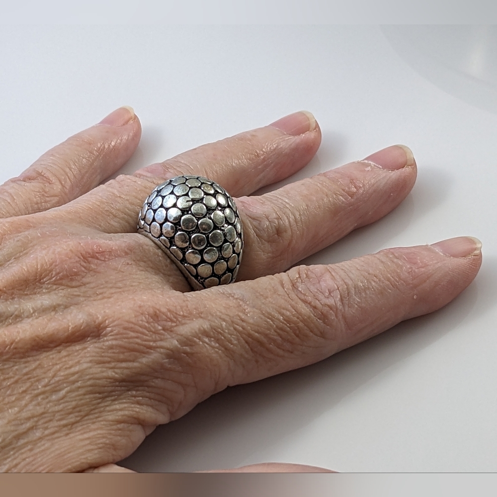 Stainless Steel Reptile Dome Ring